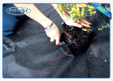Pertanian Ramah Lingkungan Non Woven Cover Di PP Spunbonded Non Woven Fabric