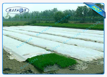 Anti UV PP Spunbond Non Woven Landscape Fabric Untuk Penutup Tanaman Pertanian