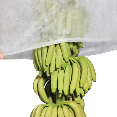 17gram Pertanian Non Woven Cover UV Nonwoven Banana Bags Memotong 100pcs Per Kantong Plastik