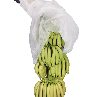 17gram Pertanian Non Woven Cover UV Nonwoven Banana Bags Memotong 100pcs Per Kantong Plastik