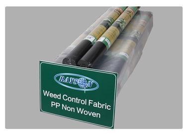 Biodegradable Weed Barrier Landscape Fabric di Woven Polypropylene Fabric Non