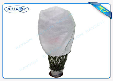 Pertanian Non Woven Cover Control Fabric PP Spunbond Nonwoven Fabric Dengan UV 3%