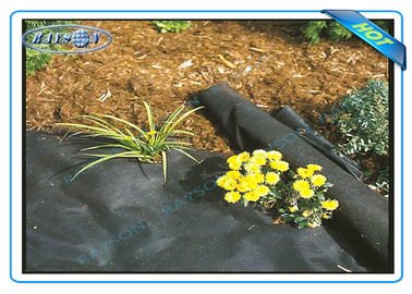 Anti UV Pertanian Non Woen Cover Weed Control Fabric