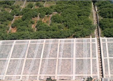 Fabric Landscape Woven transparan Spunbond Non Pertanian Tanaman Penutup