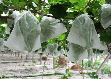 Anti-UV PP spunbonded Pertanian Non Woven Fabric Landscape Eco-Friendly