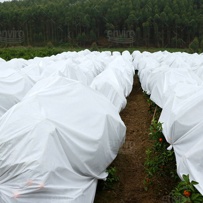100% Polypropylene Pertanian Rumah Kaca Anti Serangga Bersih Non Woven Fabric