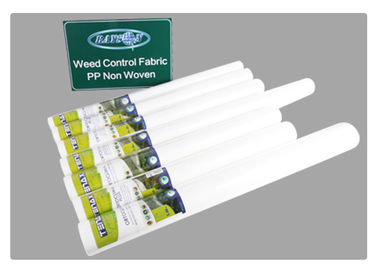 Warna Hitam / Putih Polypropylene Spunbond Non Woven Weed Control Fabric Pertanian Non Woven Cover