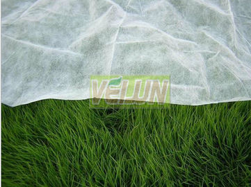 Eco-friendly Biodegradable Landscape Fabric bukan tenunan Pertanian