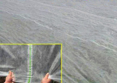 Greenhouse PP Film Spunbond Non Woven Fabric Landscape dengan 100% polypropylene