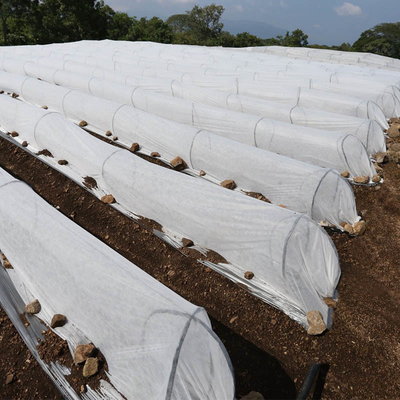 Non Woven Pertanian Weed Control Mat PP Spunbond Nonwoven Fabric Dengan 3% UV