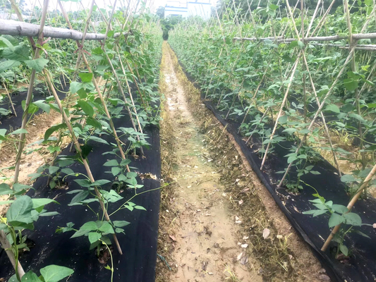 30gram 100% PP Pertanian Non Woven Cover Spunbond Dalam Pengendalian Gulma 20 Meter