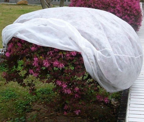 Garden Frost Protection Fleece Pp Spunbond Non Woven Cover Disesuaikan