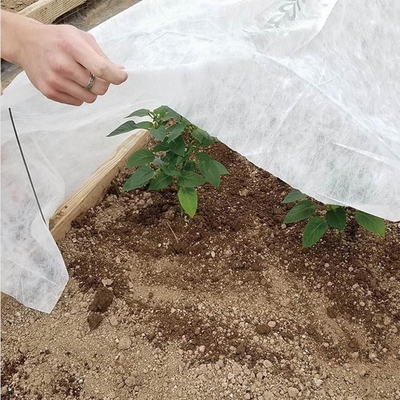 Agrosheeting Pp Spunond Pertanian Non Woven Cover Frost Protection Blanket Cover Dengan 3% UV