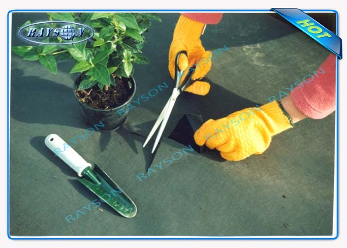 Black 40 Gram Heavy Duty Agriculture Non Woven Cover, Weed Control Cloth Dengan UV Resistance