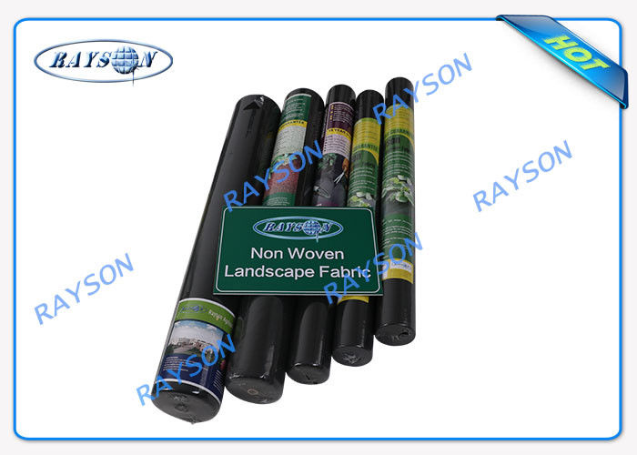 Biodegradable Heavy Duty Agricultrual Non Woven Cover Dalam Warna Hitam 1.5OZ 40gsm hingga 100gsm